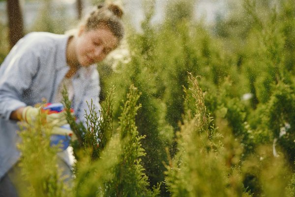 Nématodes pour lutte biologique : la solution écologique pour votre jardin